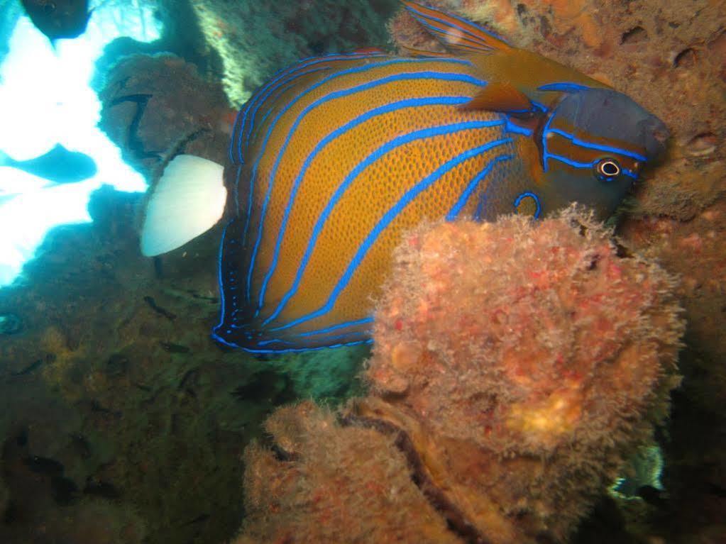 Pulau Perhentian Kecil Ombak Dive Resort מראה חיצוני תמונה